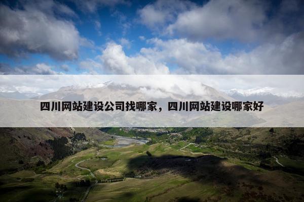 四川网站建设公司找哪家，四川网站建设哪家好