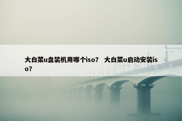 大白菜u盘装机用哪个iso？ 大白菜u启动安装iso？