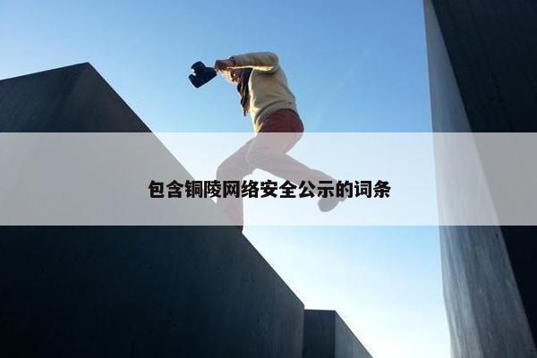 包含铜陵网络安全公示的词条