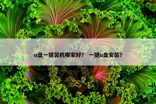 u盘一键装机哪家好？ 一键u盘安装？