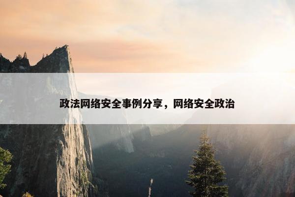 政法网络安全事例分享，网络安全政治