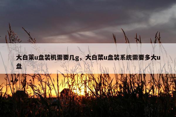 大白莱u盘装机需要几g，大白菜u盘装系统需要多大u盘