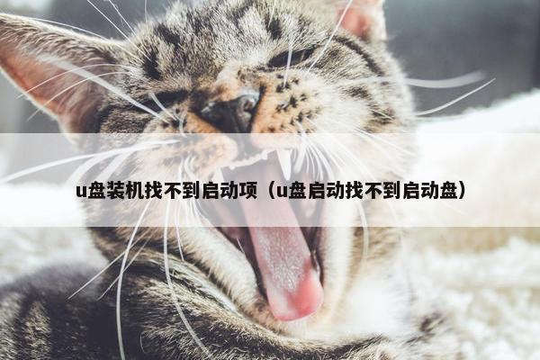u盘装机找不到启动项（u盘启动找不到启动盘）