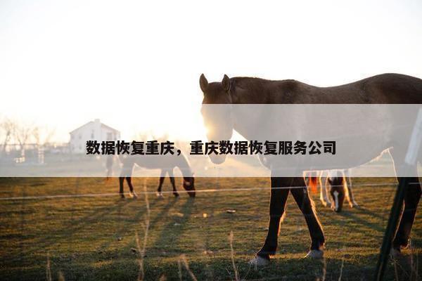 数据恢复重庆，重庆数据恢复服务公司