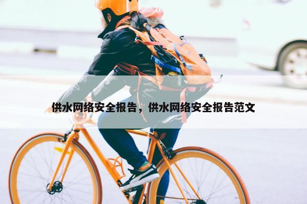 供水网络安全报告，供水网络安全报告范文