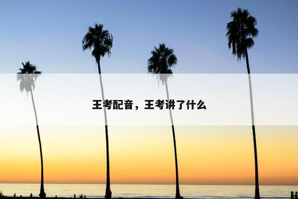 王考配音，王考讲了什么