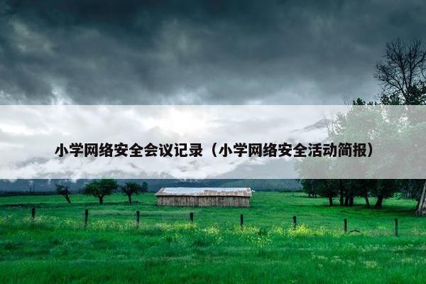 小学网络安全会议记录（小学网络安全活动简报）