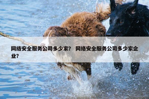 网络安全服务公司多少家？ 网络安全服务公司多少家企业？
