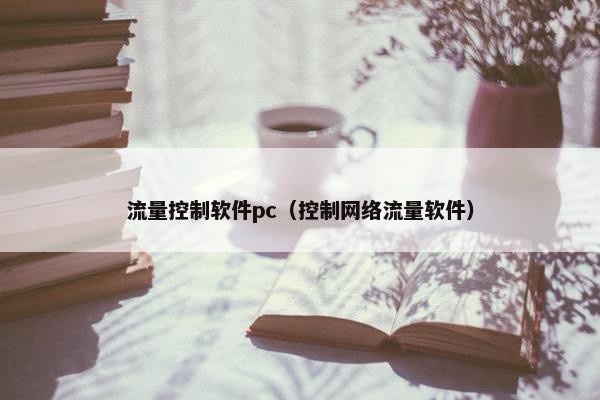 流量控制软件pc（控制网络流量软件）