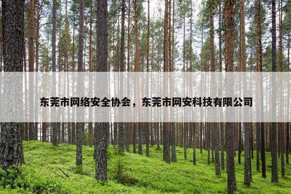 东莞市网络安全协会，东莞市网安科技有限公司