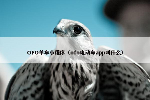 OFO单车小程序（ofo电动车app叫什么）