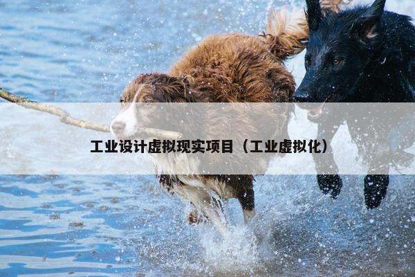 工业设计虚拟现实项目（工业虚拟化）