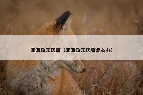 淘客攻击店铺（淘客攻击店铺怎么办）