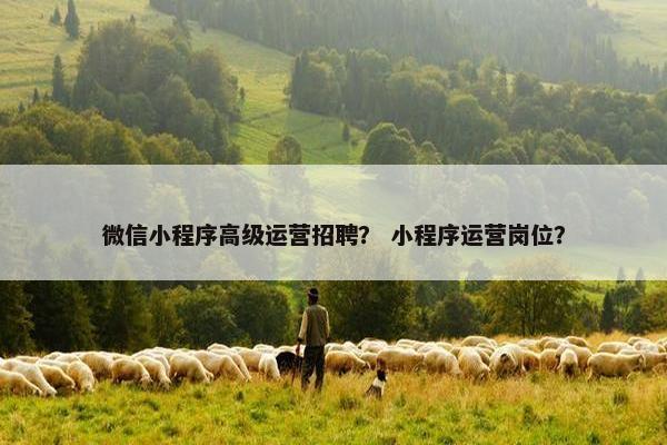 微信小程序高级运营招聘？ 小程序运营岗位？
