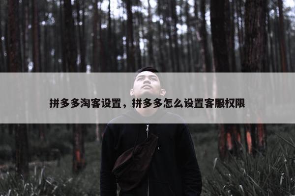 拼多多淘客设置，拼多多怎么设置客服权限
