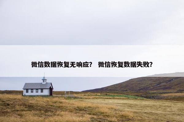 微信数据恢复无响应？ 微信恢复数据失败？