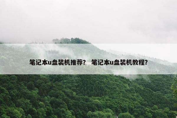 笔记本u盘装机推荐？ 笔记本u盘装机教程？