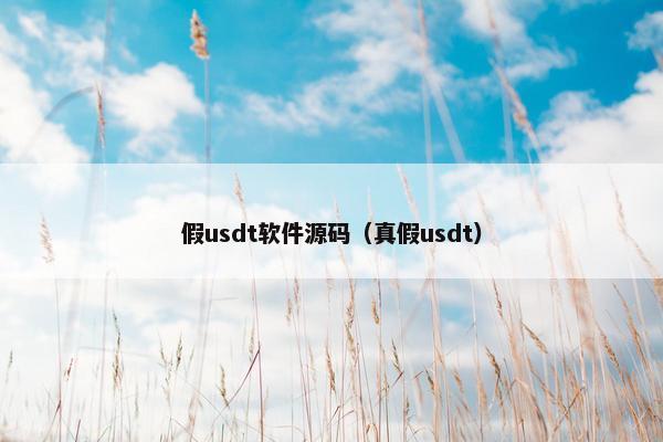 假usdt软件源码（真假usdt）