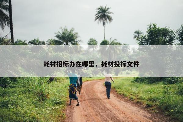耗材招标办在哪里，耗材投标文件