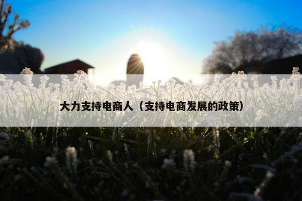 大力支持电商人（支持电商发展的政策）