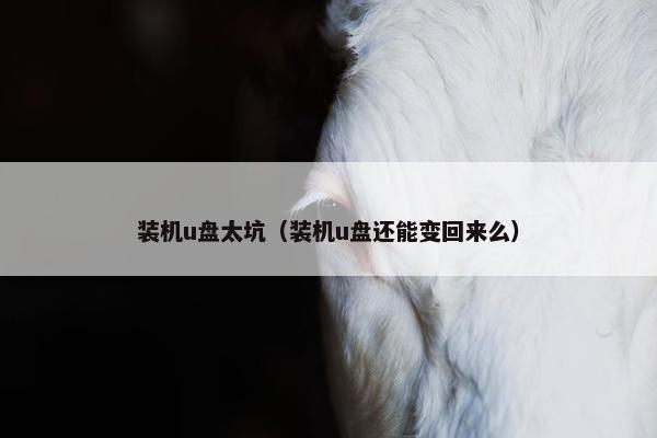 装机u盘太坑（装机u盘还能变回来么）
