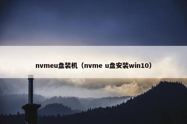 nvmeu盘装机（nvme u盘安装win10）