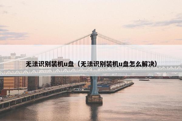 无法识别装机u盘（无法识别装机u盘怎么解决）