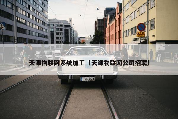 天津物联网系统加工（天津物联网公司招聘）