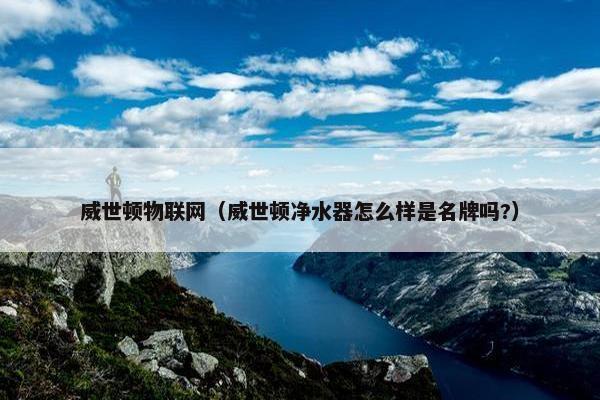威世顿物联网（威世顿净水器怎么样是名牌吗?）