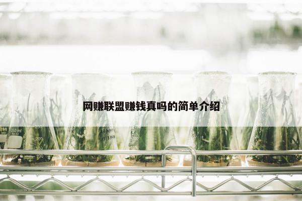 网赚联盟赚钱真吗的简单介绍