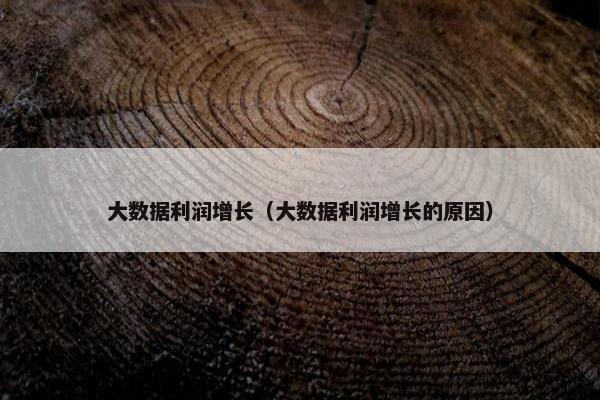 大数据利润增长（大数据利润增长的原因）
