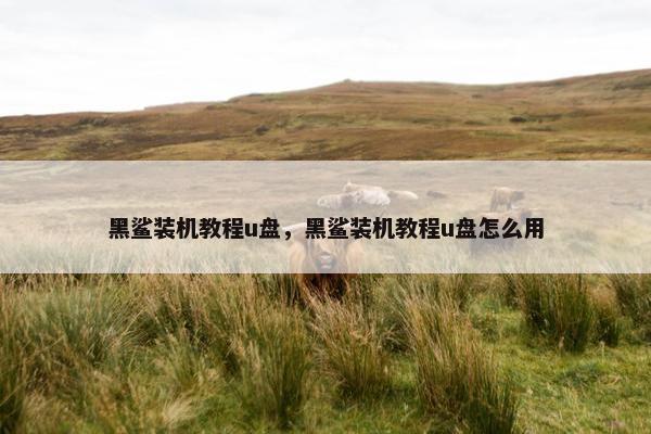 黑鲨装机教程u盘，黑鲨装机教程u盘怎么用