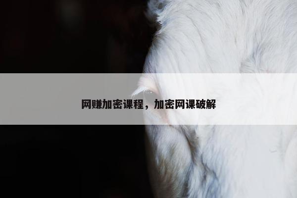 网赚加密课程，加密网课破解