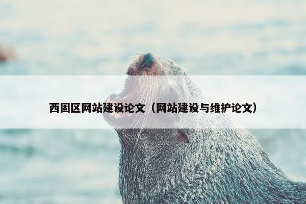 西固区网站建设论文（网站建设与维护论文）