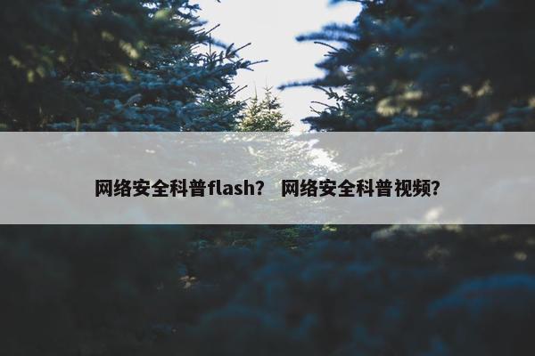 网络安全科普flash？ 网络安全科普视频？
