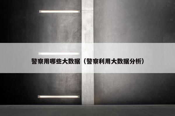 警察用哪些大数据（警察利用大数据分析）