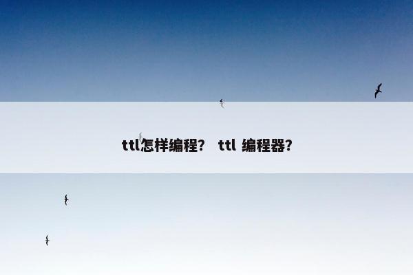 ttl怎样编程？ ttl 编程器？
