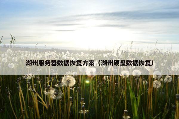 湖州服务器数据恢复方案（湖州硬盘数据恢复）