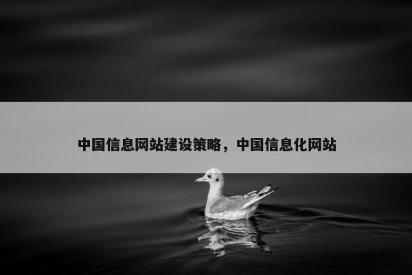 中国信息网站建设策略，中国信息化网站