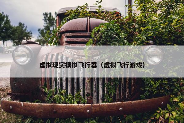 虚拟现实模拟飞行器（虚拟飞行游戏）