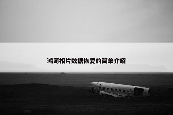 鸿萌相片数据恢复的简单介绍