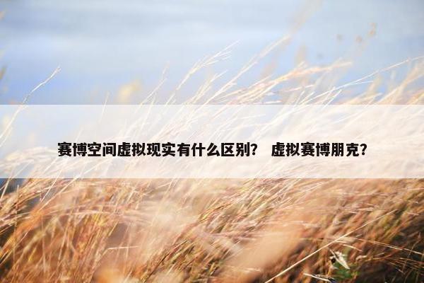 赛博空间虚拟现实有什么区别？ 虚拟赛博朋克？