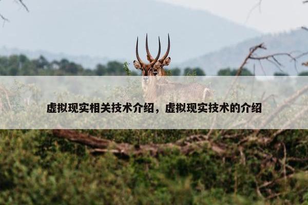 虚拟现实相关技术介绍，虚拟现实技术的介绍