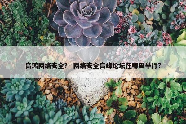 高鸿网络安全？ 网络安全高峰论坛在哪里举行？