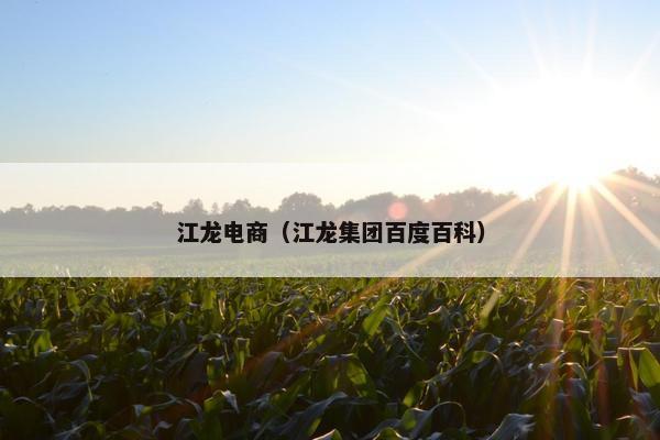 江龙电商（江龙集团百度百科）