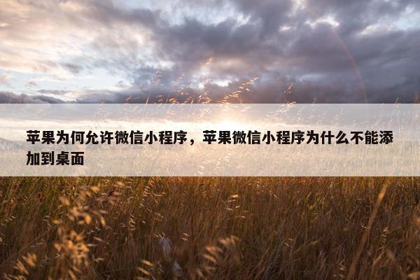 苹果为何允许微信小程序，苹果微信小程序为什么不能添加到桌面