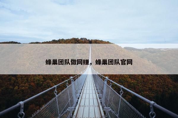 蜂巢团队做网赚，蜂巢团队官网