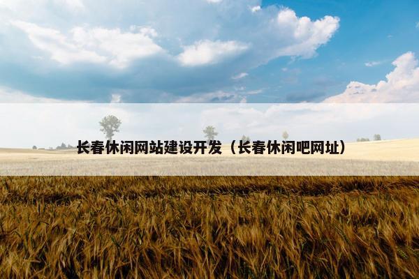 长春休闲网站建设开发（长春休闲吧网址）