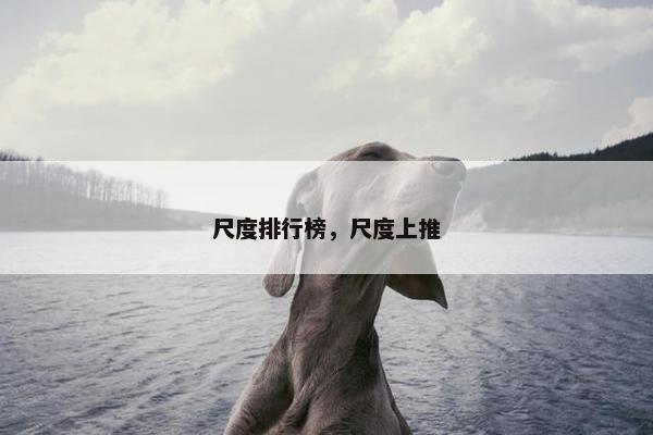 尺度排行榜，尺度上推