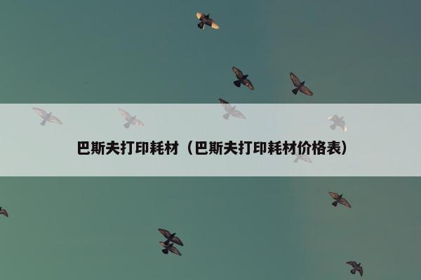 巴斯夫打印耗材（巴斯夫打印耗材价格表）